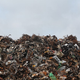 Illustration for article titled Be Sure You May Eliminate Your Waste Material Effortlesslyem/em